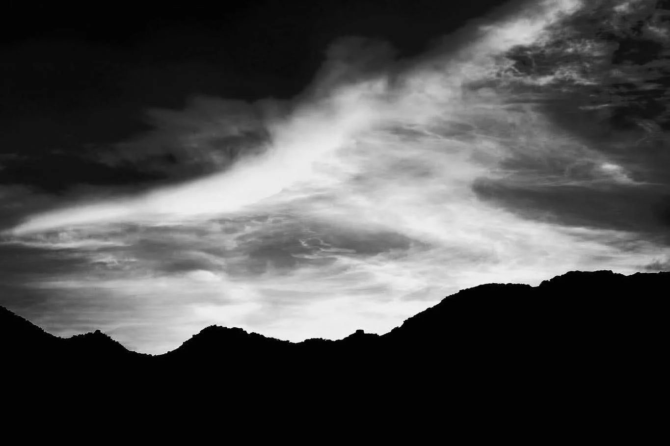 inbound8672415849278807031 by corkerchadlee, portfolio